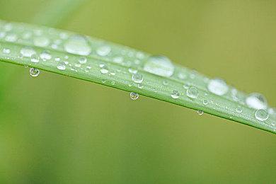 PlayStation已给《心之眼》多个玩家爽快退款